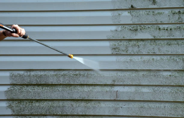 Best Roof Pressure Washing  in Bohners Lake, WI